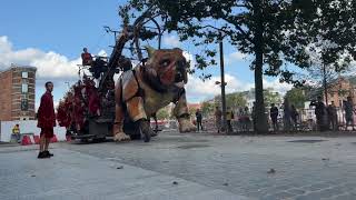 't Is koers (Royal de Luxe)