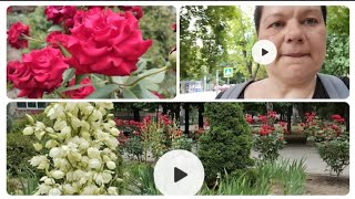 ЗАПОРОЖЬЕ 14.06 НЕ НОЧЬ А УЖАС, ЖУТЬ И БЕСПРЕДЕЛ‼️А РОЗЫ НАС ВЕРНУТ В СПОКОЙСТВИЕ⁉️УБЕЖИЩЕ ПРОДЛИЛИ.