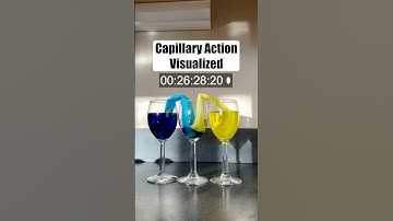 This Paper Towel Experiment Explains Capillary Action