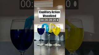 This Paper Towel Experiment Explains Capillary Action