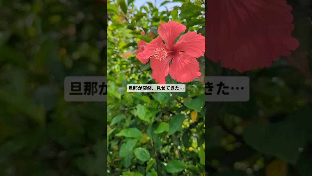 旦那が見せてきたもので人生変わりそうです…　#モルタル雑貨 #沖縄 # handmadeinjapanfes #島すくい#ハンドメイド