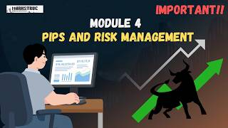 What are pips and Risk Management[ Module 4]. Markstruc