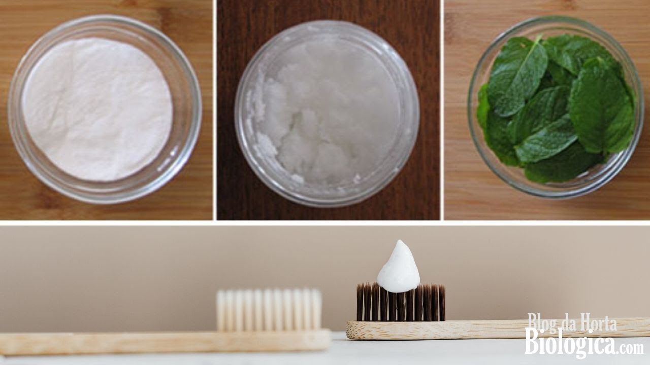 Pasta de Dentes Caseira de Hortelã 3 Ingredientes Homemade Mint