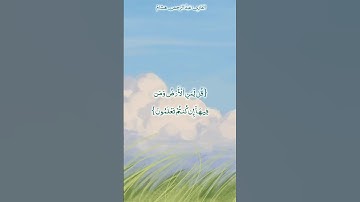 ما تيسر من سورة المؤمنون #اكسبلور #المصحف #راحة_نفسية