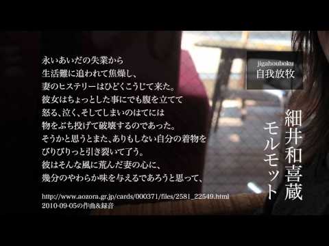 2010-09-05の作曲＆録音「細井和喜蔵 モルモット」