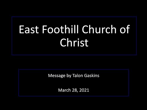 Video preview