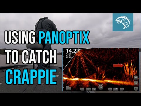 Using Panoptix To Catch Crappie | Garmin Livescope