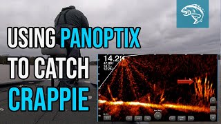 Using Panoptix To Catch Crappie | Garmin Livescope