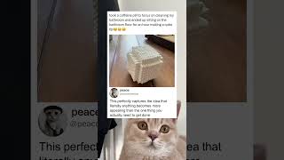 When You Do Everything Except The One Task