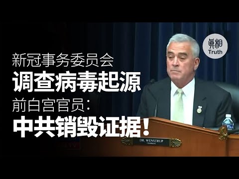 美国会新冠事物委员会 举行首次听证会 调查新冠病毒起源 前白宫官员:中共销毁证据 新冠病毒来自实验室