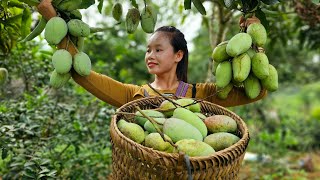 Harvest the mango garden and sell it at the market - Bath three puppies l LÝ THỊ SAI