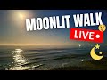 🔴 Moonlit Walk LIVE - from a beach in Norfolk