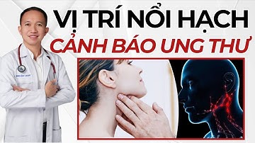 Những vị trí Nổi Hạch CÓ THỂ Cảnh báo U.n.g T.h.ư | Bác Sĩ Trần Minh