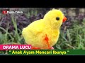 Drama Lucu &quot; ANAK AYAM MENCARI IBUNYA &quot;