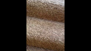 2129 S. 68th Street, West Allis, WI 53219 - Real Property Management