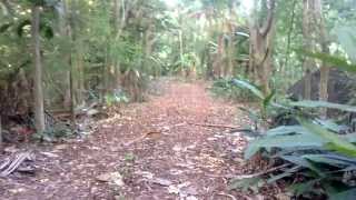 WP 20131102 052