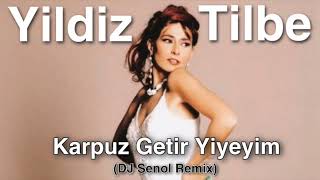 Yildiz Tilbe - Karpuz Getir Yiyeyim (DJ Senol Remix) Resimi