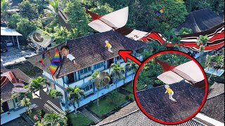 WE ARE HUNTING FOR NAGARA KITES STUCK ON THE ROOF?!