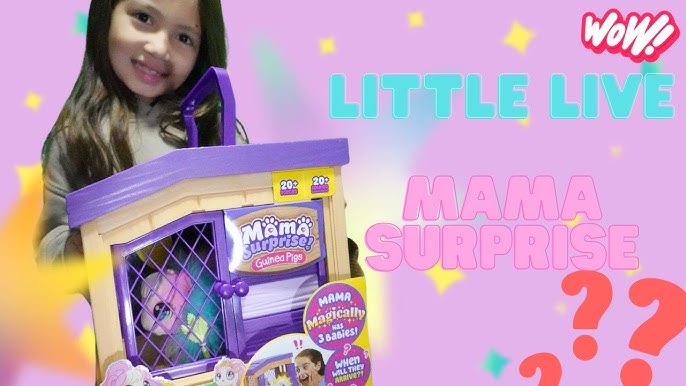 Little Live Pets Mama Surprise Guinea Pig Review - The Mummy Bubble