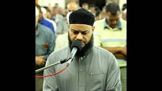 الشيخ حاتم فريد /سورة التغابن / قراءة مميزة