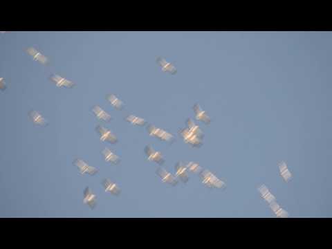 ჯავახეთის დაცული ტერიტორიები (კარწახი) ხუჭუჭა ვარხვის გუნდი