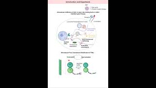 JCS snapshot: Suppressing microtubule detyrosination augments AAV2 endosomal escape & gene delivery