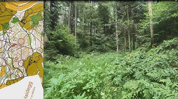 O-Video 58: Training Haidegg, 26.06.2024