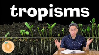 Plant Tropisms - For Kids