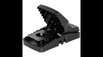 Hiệu quả thực tế của Cạm bẫy chuột thông minh