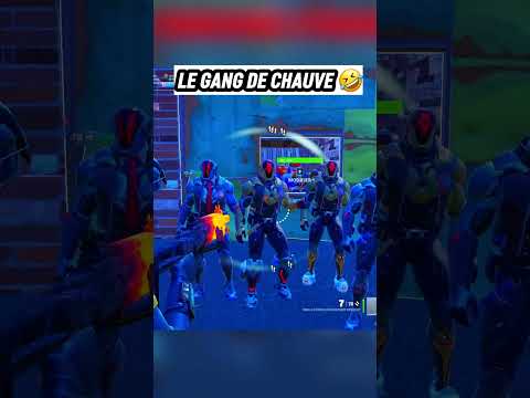 🤣 Le Gang de Chauves