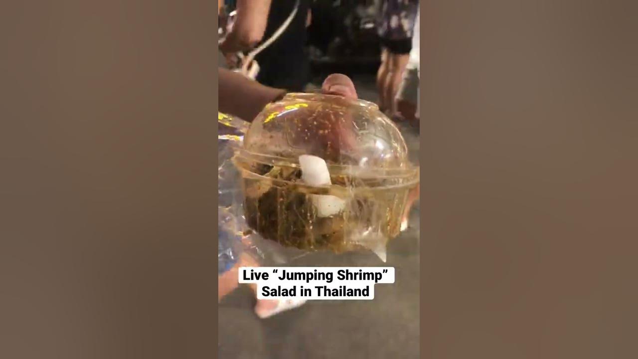 🦐 Live Jumping Shrimp Salad (Street Food Thailand) YouTube
