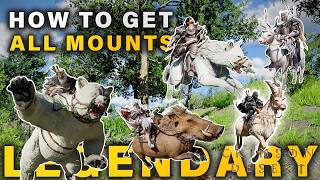 Celebrity How to get All 5 LEGENDARY Permanent Mounts from the Update ► Crimson Desert Net Worth