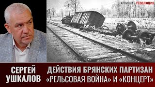 Сергей Ушкалов. Действия Брянских Партизан В Ходе Операций 