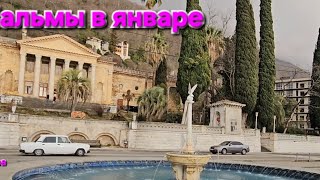 видео: Гагра - Январь бархатный сезон!! картинка: Гагра - Январь бархатный сезон!!