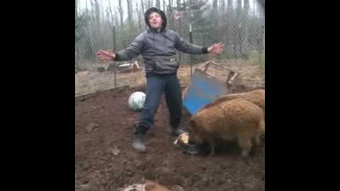 FANTASY's Farm v. Mi DNR