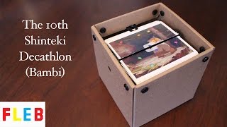 The 10th Shinteki Decathlon Puzzle screenshot 3