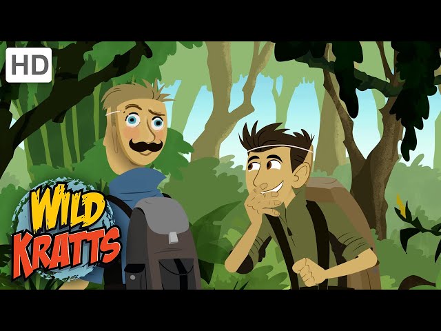 WILD KRATTS | Hiding From A TIGER! | Nature class=