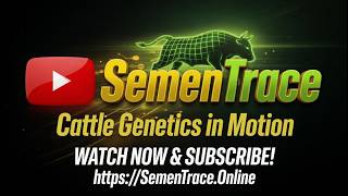 SemenTrace | Cattle Genetics in Motion | Powered by eVerse.AI