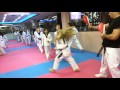 Taekwondo Α.Σ. ΕΘΝΙΚΟΣ 95 ΠΑΛΑΤΙΑΝΗΣ - ΙΛΙΟΝ