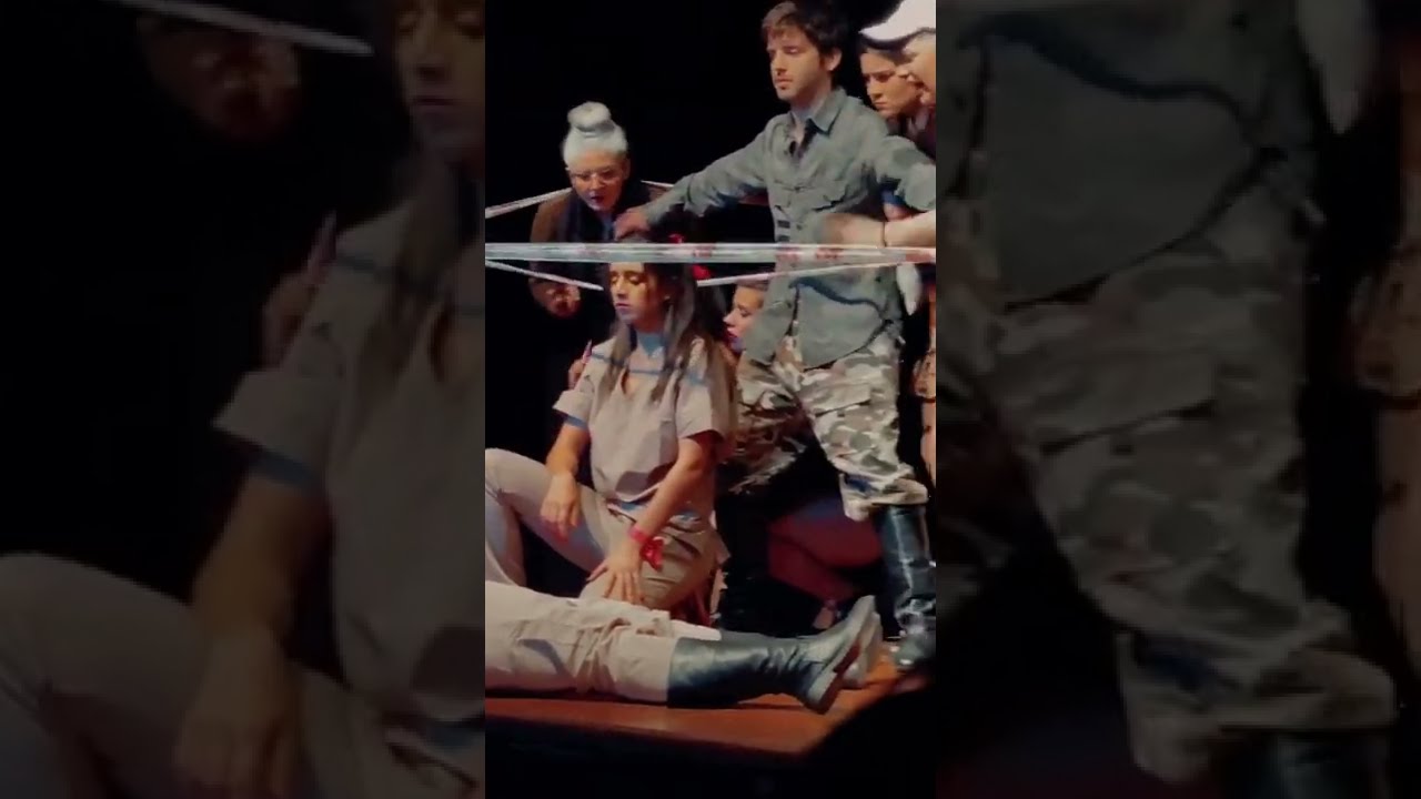 Tesis de Actuación | El plan sistemático de la mosca