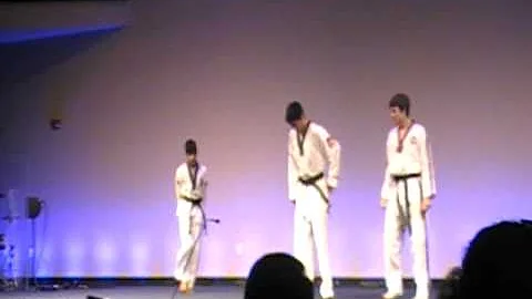 Tiger Martial Arts demostration