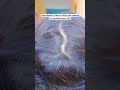 Dandruff se Pareshan ho 😭 | how to remove dandruff at home | how to stop hairfall @preityprerna