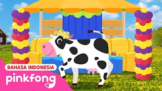 Ibu Sapi Lola, Ibu Sapi | Binatang Peternakan Pinkfong | Baby Shark Pinkfong Indonesia by Lagu Anak - Baby Shark Pinkfong Indonesia 93,847 views 3 months ago 3 minutes, 25 seconds
