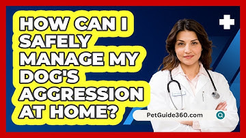 How Can I Safely Manage My Dog
