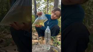 Survival Skills: easy methood saving water transfer to bottle#camping#zrxtapas#comedy 😲😂😚😘