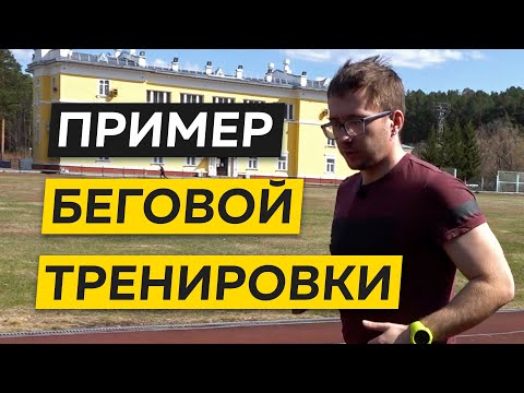 Первая беговая тренировка - Пример легкой тренировки для начинающих бегунов