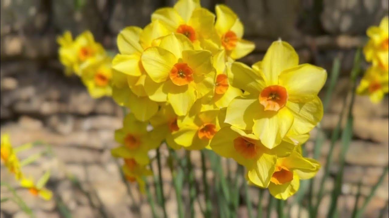 Spring all year round YouTube