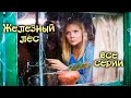 Детектив «Железный лес». Все серии / Детективы Анны Малышевой