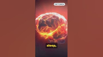 Unlocking Memory Secrets  #sleep #sleepscience #facts