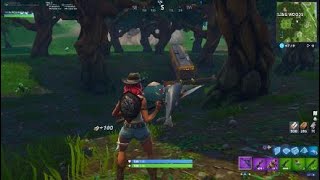 New And Improved Wailing Woods Tunnels